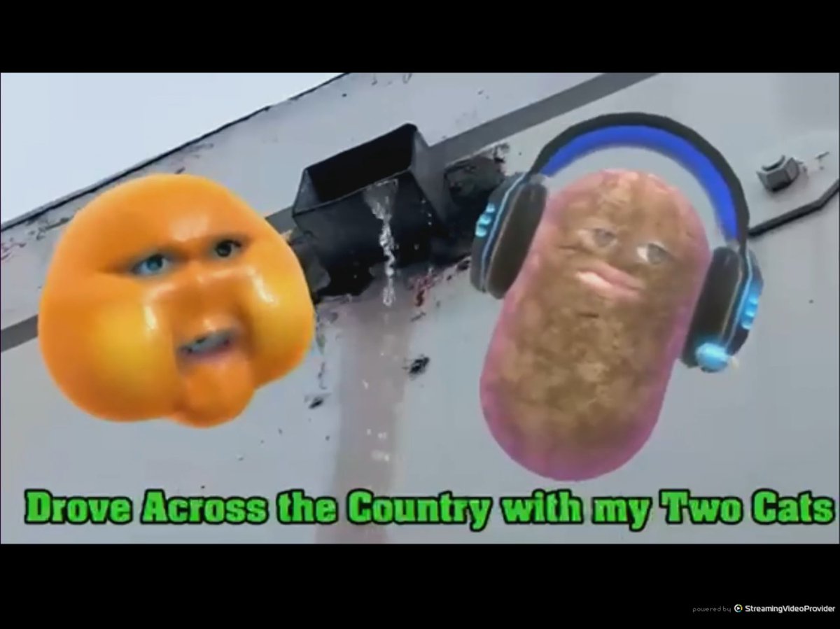 Truthseeke44091's tweet photo. Hilarious musical performance “My nogo “ by Tookie , features   “The potato and The orange “. @CardiffElect @ObnoxiousJohn @TookieSoupTime #Dabblecon #Dabblecon2 @whoarethesepod  @shalomshuli https://t.co/5Qeewllucn