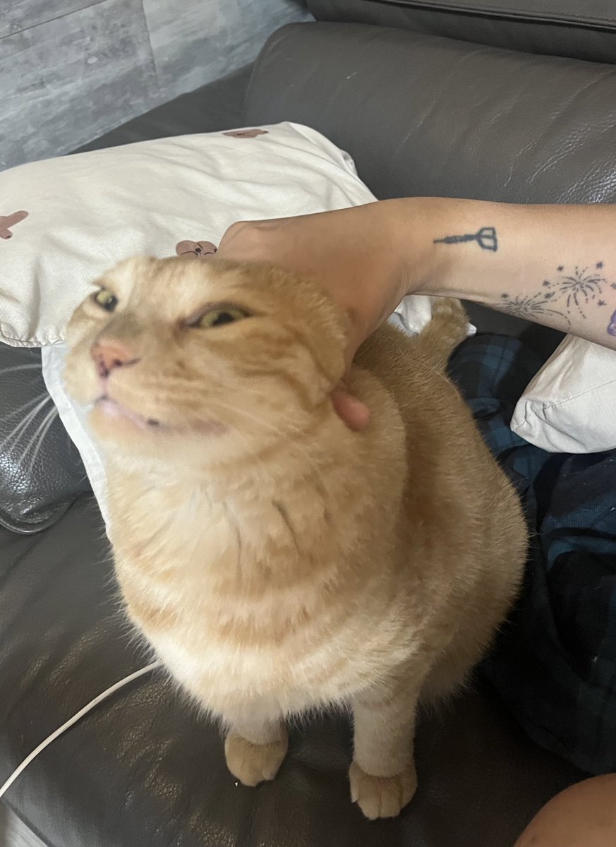 🐈덕진일보🐈 (@dailyduckjin) on Twitter photo 