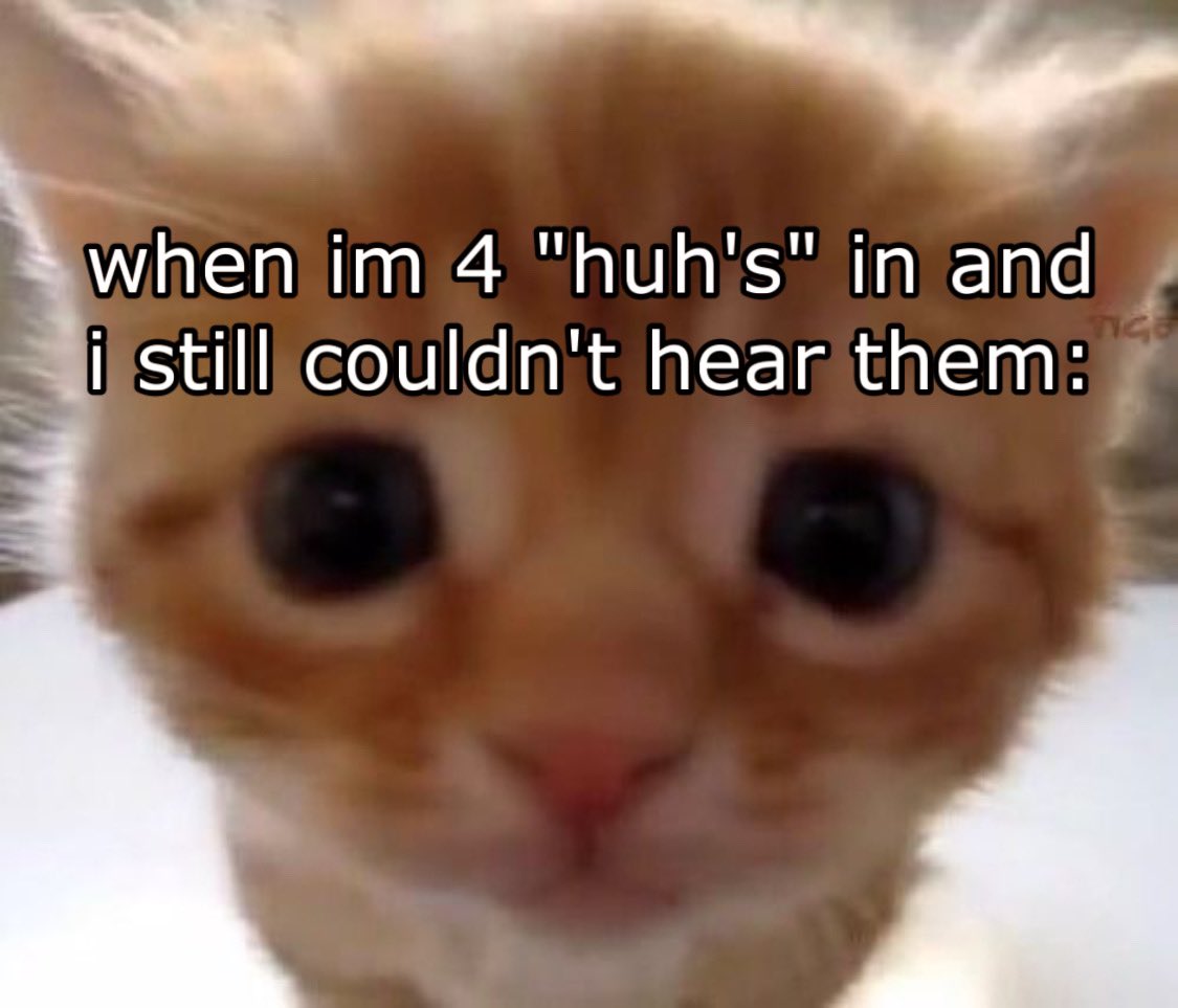 PunchingCat's tweet image. real