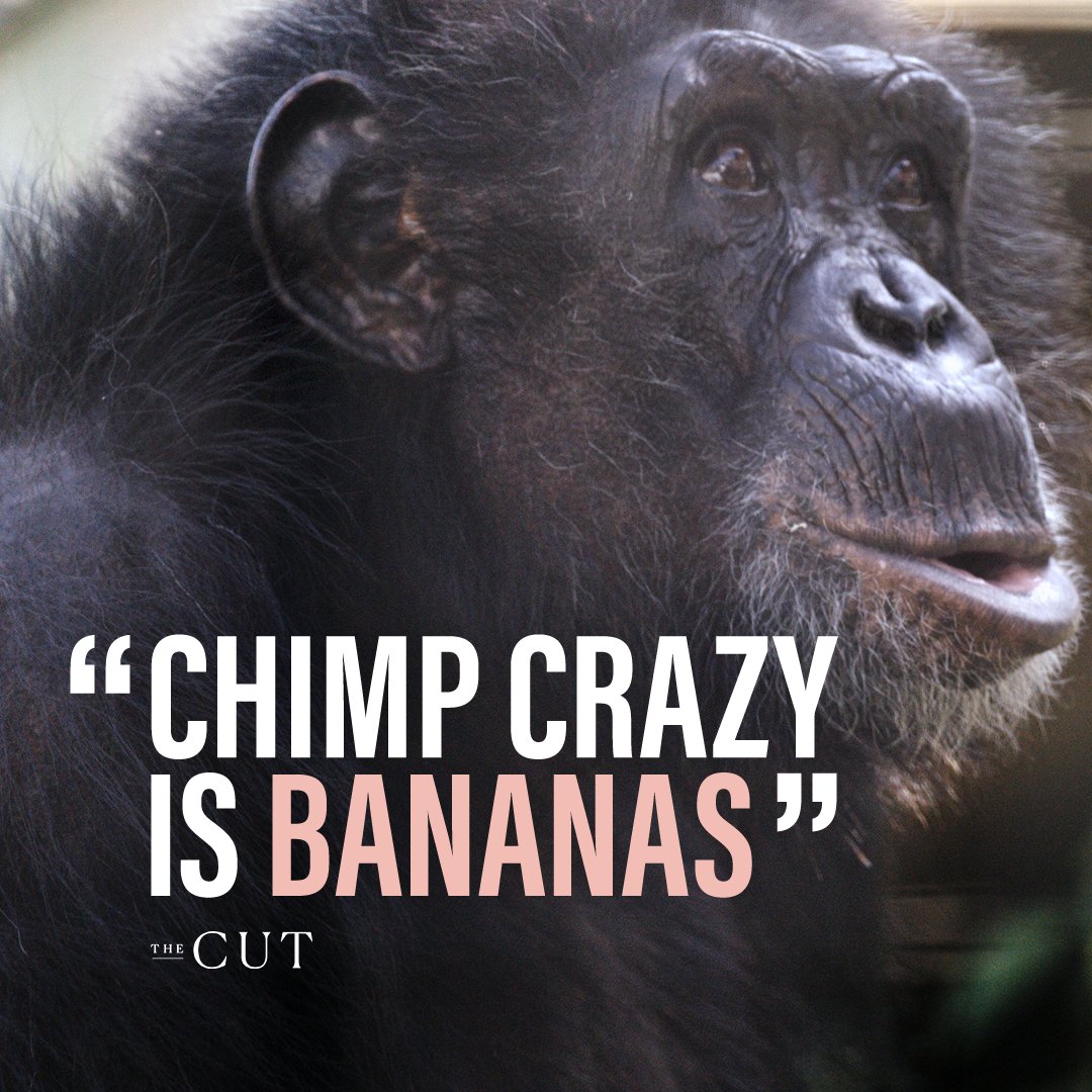 HBO Documentaries tweet media