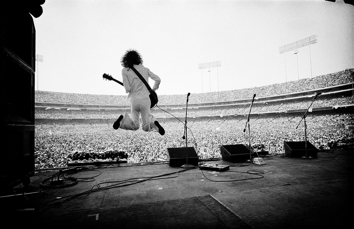 Anne Margaret Daniel tweet media