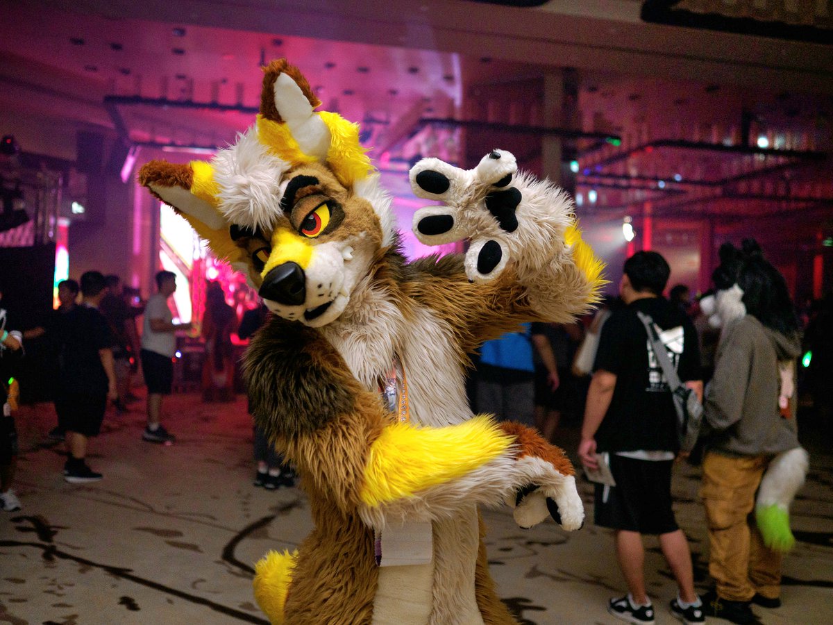 Mustard Yapper 🛩️ FWA / BFC tweet media