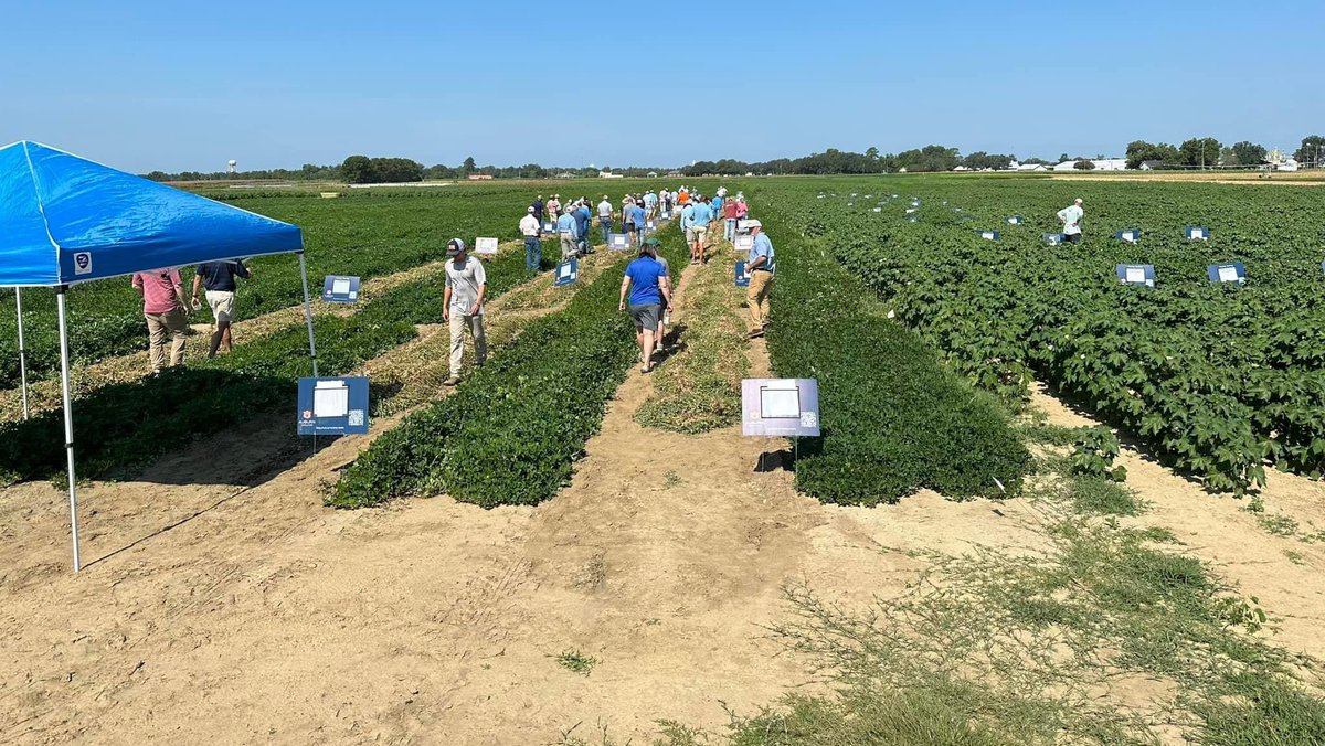 Great field day at Wiregrass Research and Extension Center today.