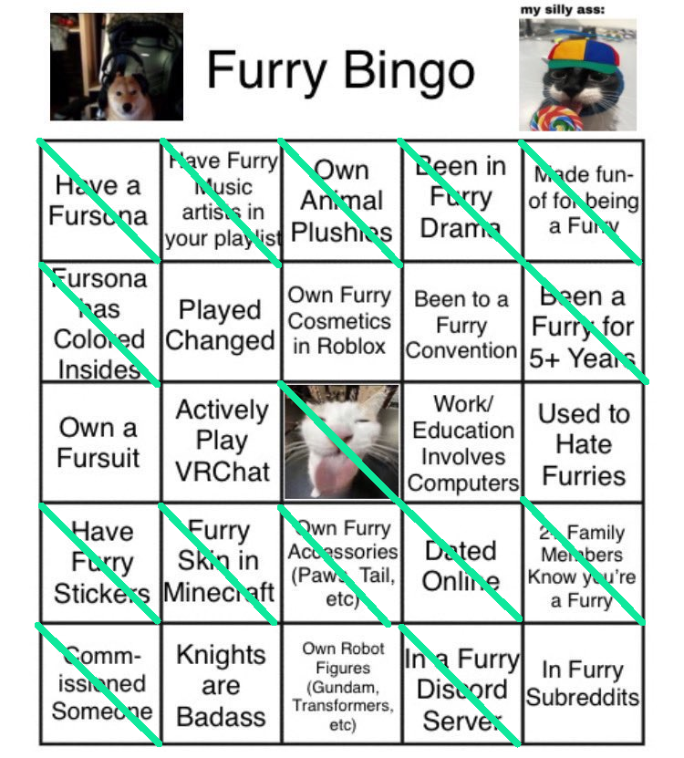 Mine (Orange) and my S.O's (Teal) furry bingo card!