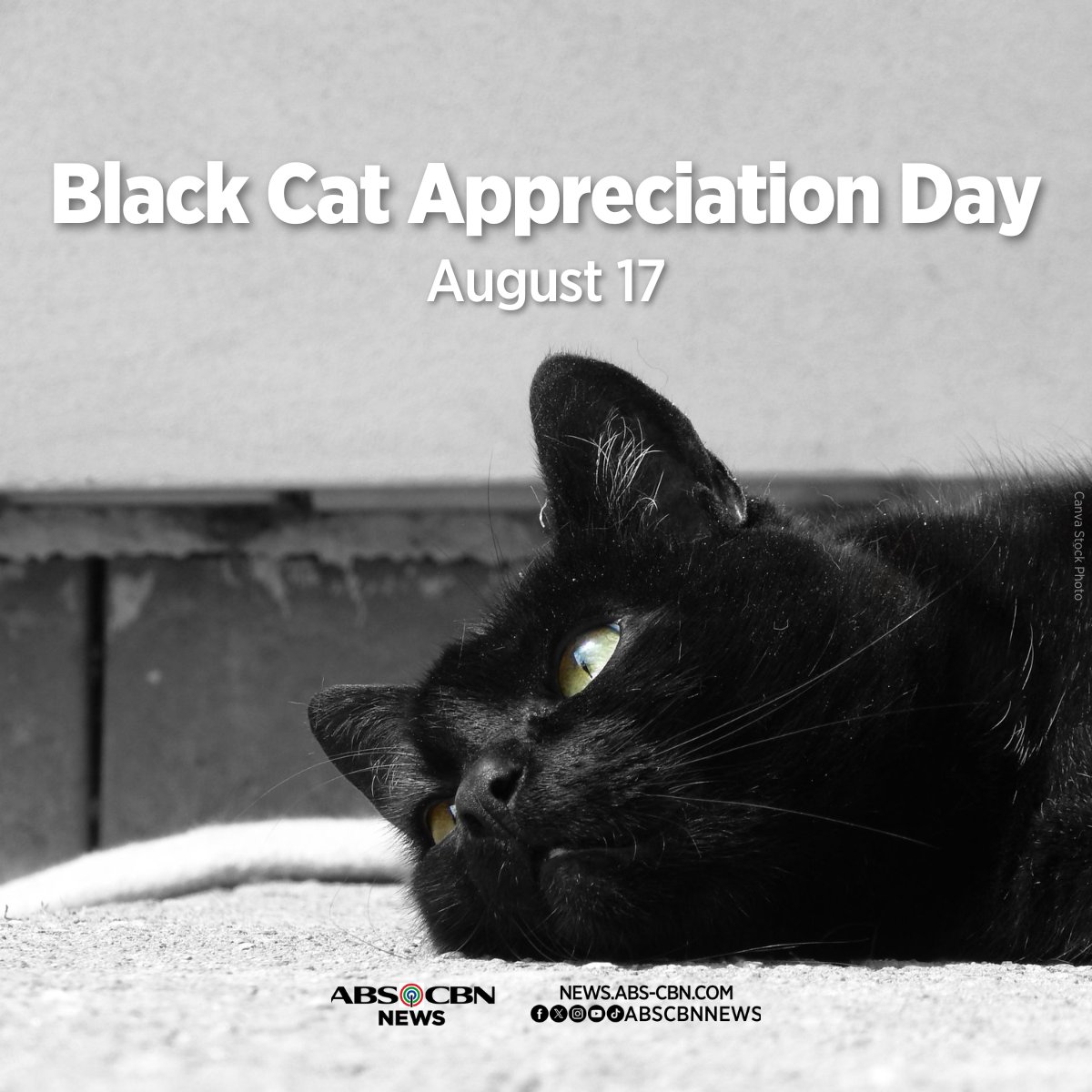 ABS-CBN News tweet media