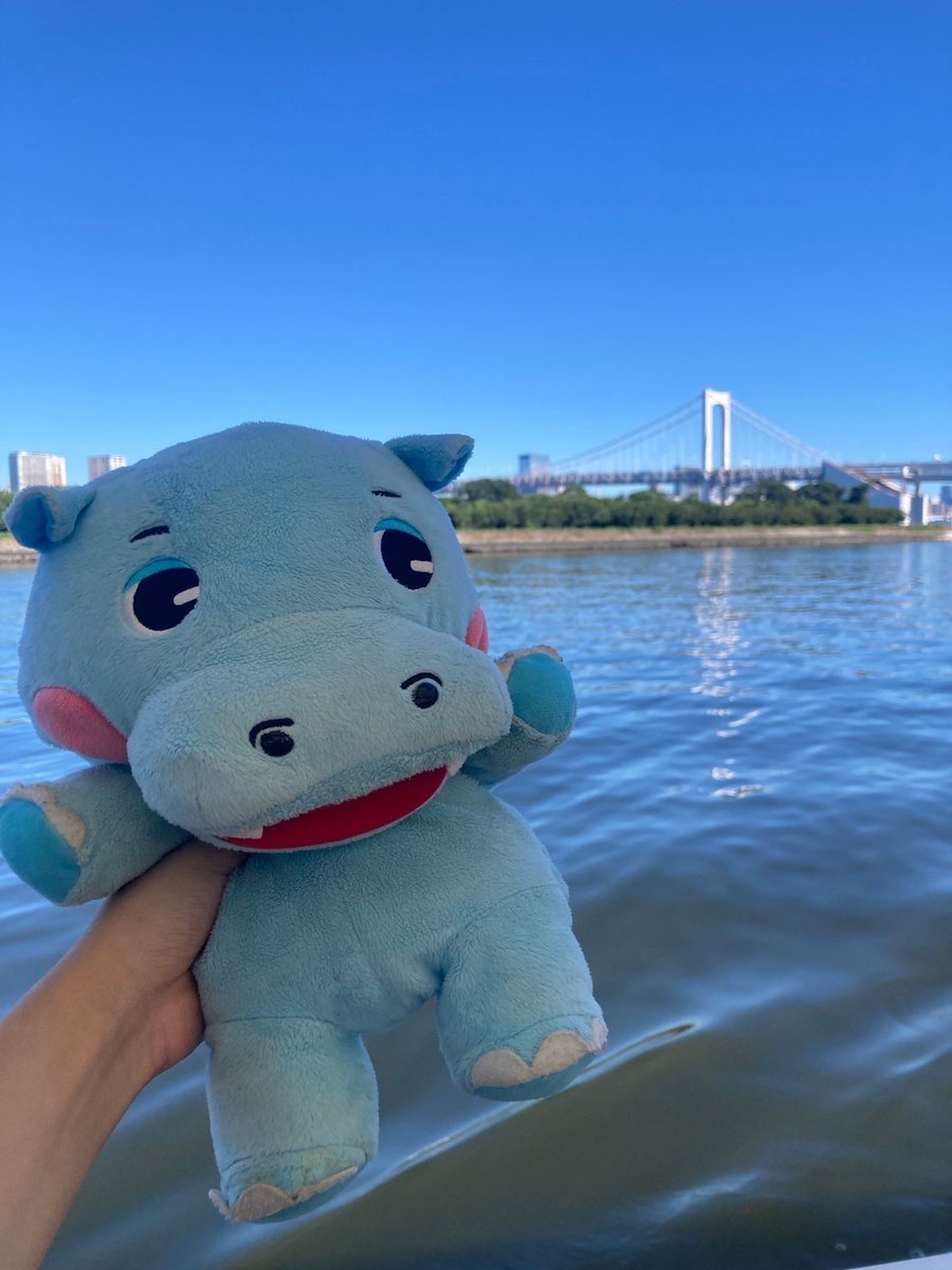 tokyo_kaba's tweet photo. 8/17 昨日は台風で運休してしましたが、
本日は元気に営業しております！

まだお席に少し余裕がございます。

スタッフ一同ご予約・ご利用
心よりお待ちしております。

#水陸両用バス　#tokyonokaba　#kaba3
#お台場　#東京 https://t.co/WiyROkzWXi