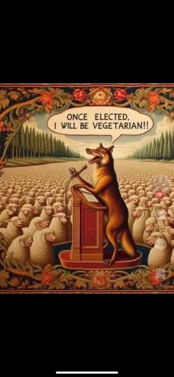 Do you actually believe any politicians and their promises?