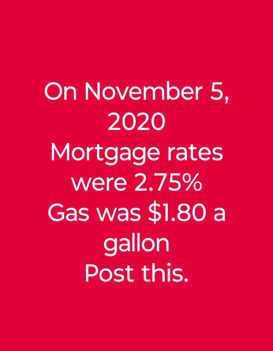 Constitutional Gator tweet media