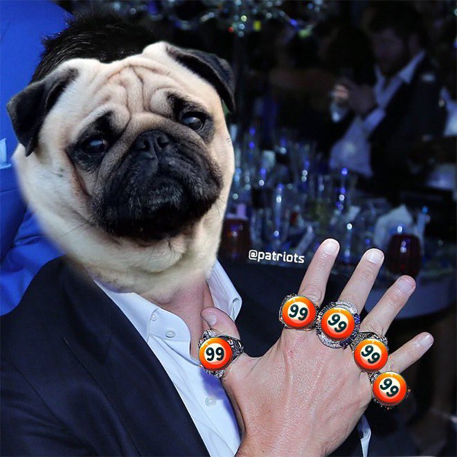 Pug tweet media