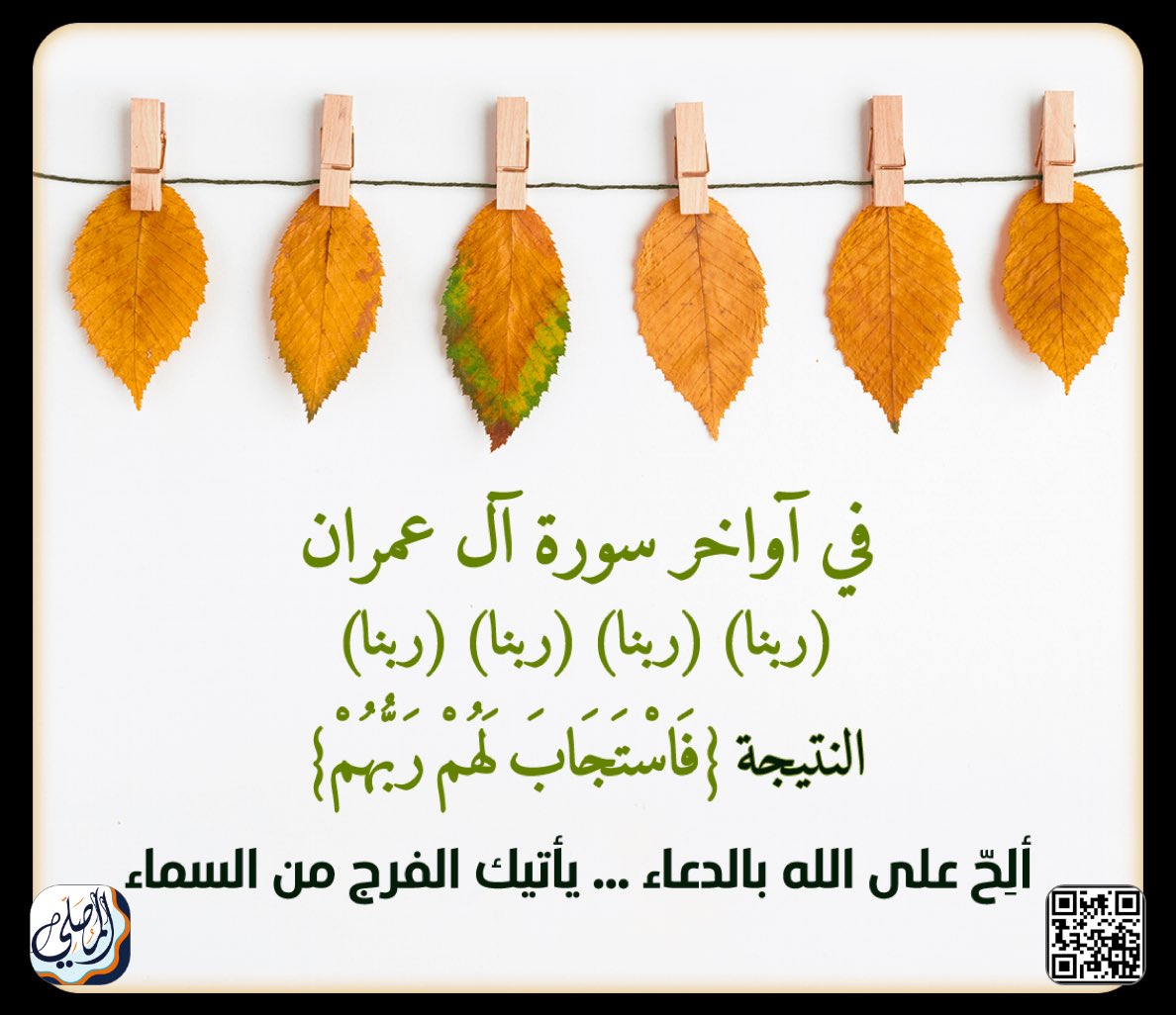 ثابت الزهراني (@thabit1234567) on Twitter photo 