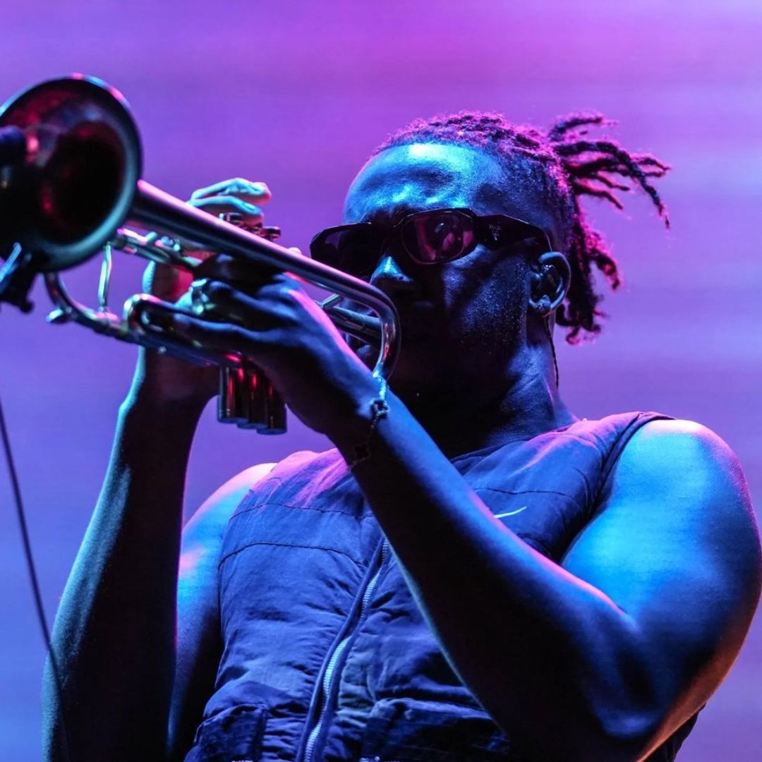 Wild Fields Festival tweet media