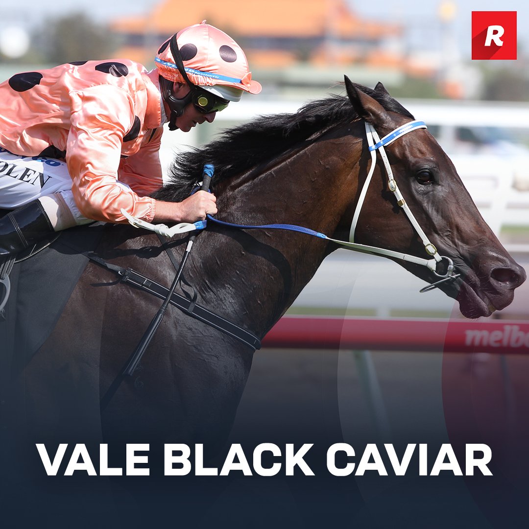 Racing's tweet image. We will miss you, Nelly 💔

Read more: bit.ly/3AtqBQY