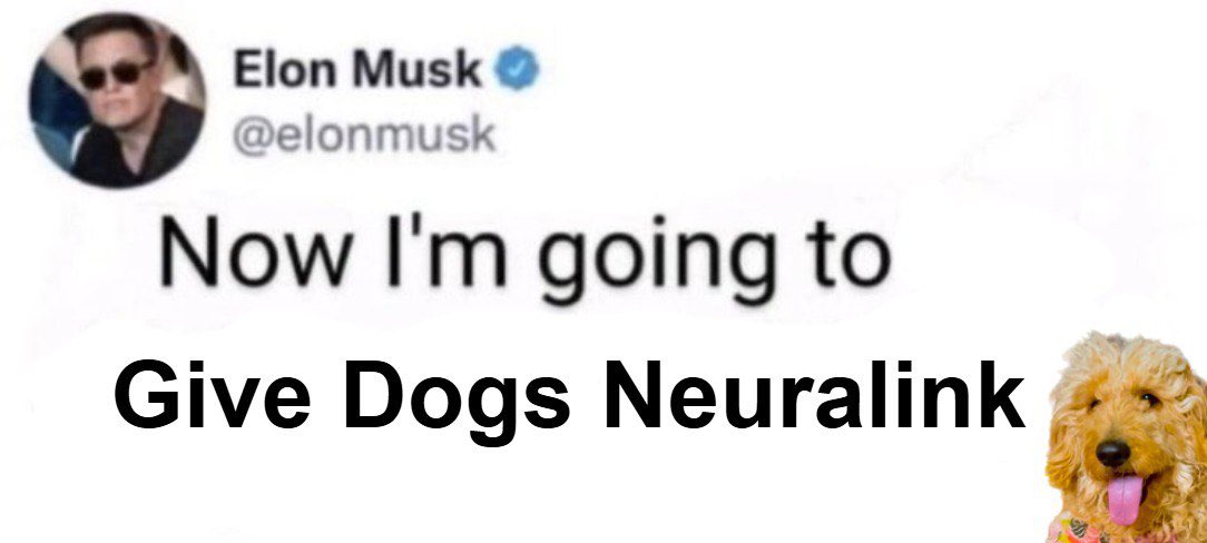 gracieoneth's tweet photo. THIS IS THE PLAN

$GRACIE #Musk #Tesla https://t.co/DCZjLWexyP