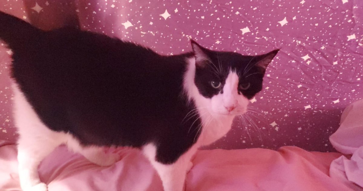 Vanessa Fisher tweet media