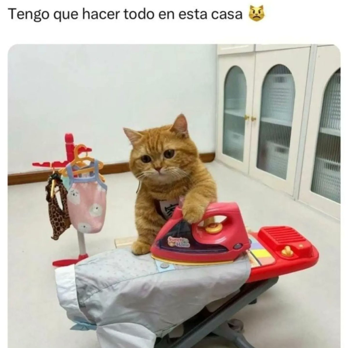 boladepelosof's tweet photo. El trabajo del michi de casa nunca termina 🫠🫠🫠

#boladepelos #michimeme #catsofx #gato #gatos #gatitos #gatosfelices #catslovers #mascota #mascotas #mascotasfelices #felinos #felinoslindos #michis https://t.co/jVfGmh5QC6