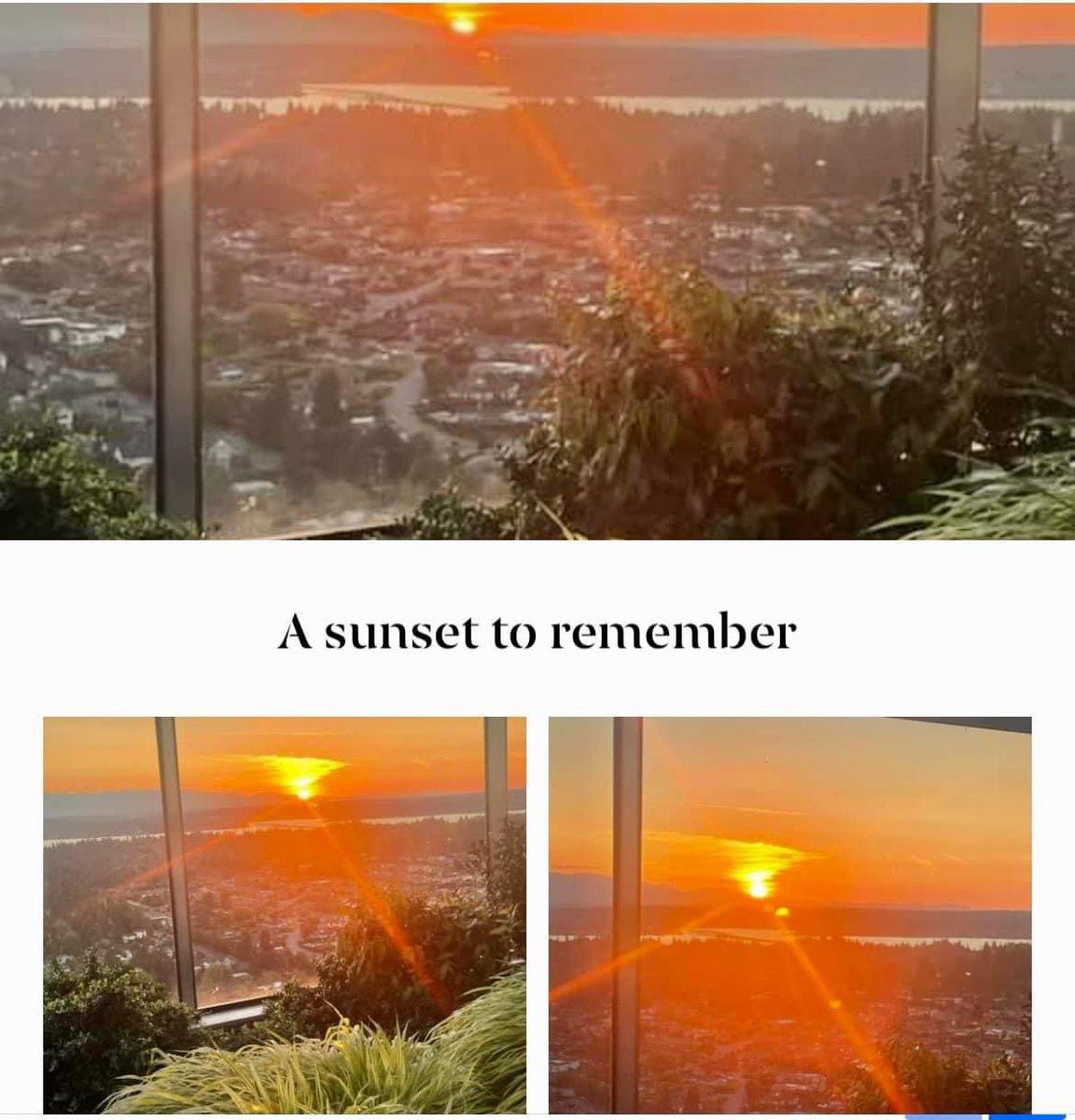 DianeDesignaAI's tweet photo. #PhotoPadStory ‘It is all about the story ‘ Always laughing, snapping and doing what I love! I am thankful and honored everyday to open my laptop and engage with our community. I love what I do each day & grateful to everyone! Enjoy the weekend 😃#Summer #Sunset #PhotoPadDesign https://t.co/Cj6Mv8vC3z