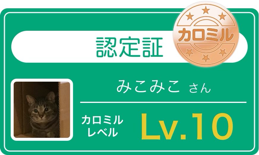 delSol1310's tweet photo. やっとLv.10になった🏆

#カロミル https://t.co/4rVktVT1s6