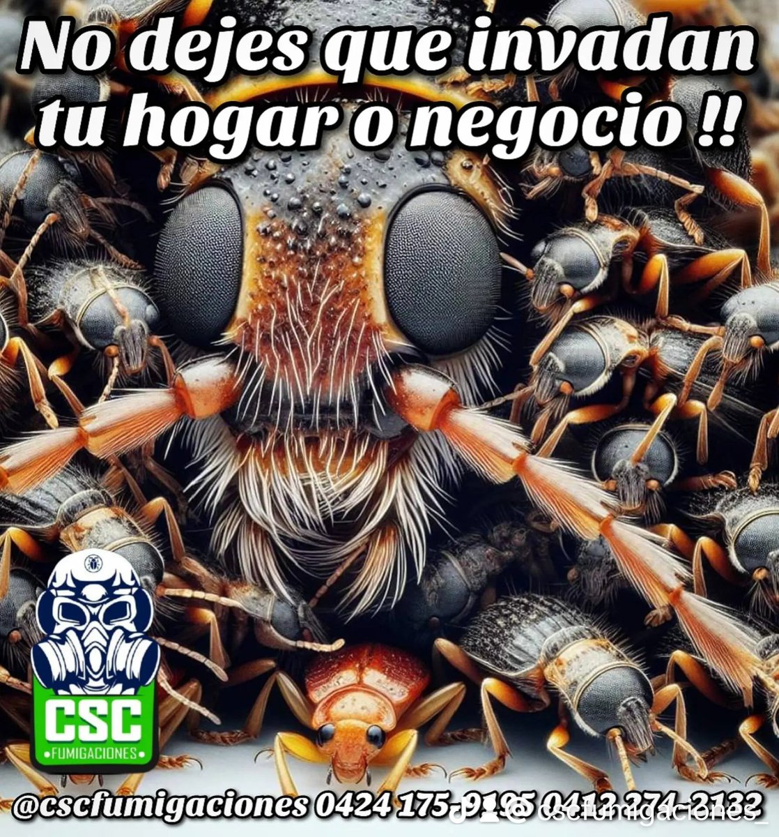 comamamey's tweet photo. Somos el mejor servicio especializado en fumigación y control de plagas del país.

NO OLVIDES SEGUIRNOS EN INSTAGRAM 👇👇👇👇

https://t.co/JWY1fx8i8I https://t.co/ppUM9ENllo