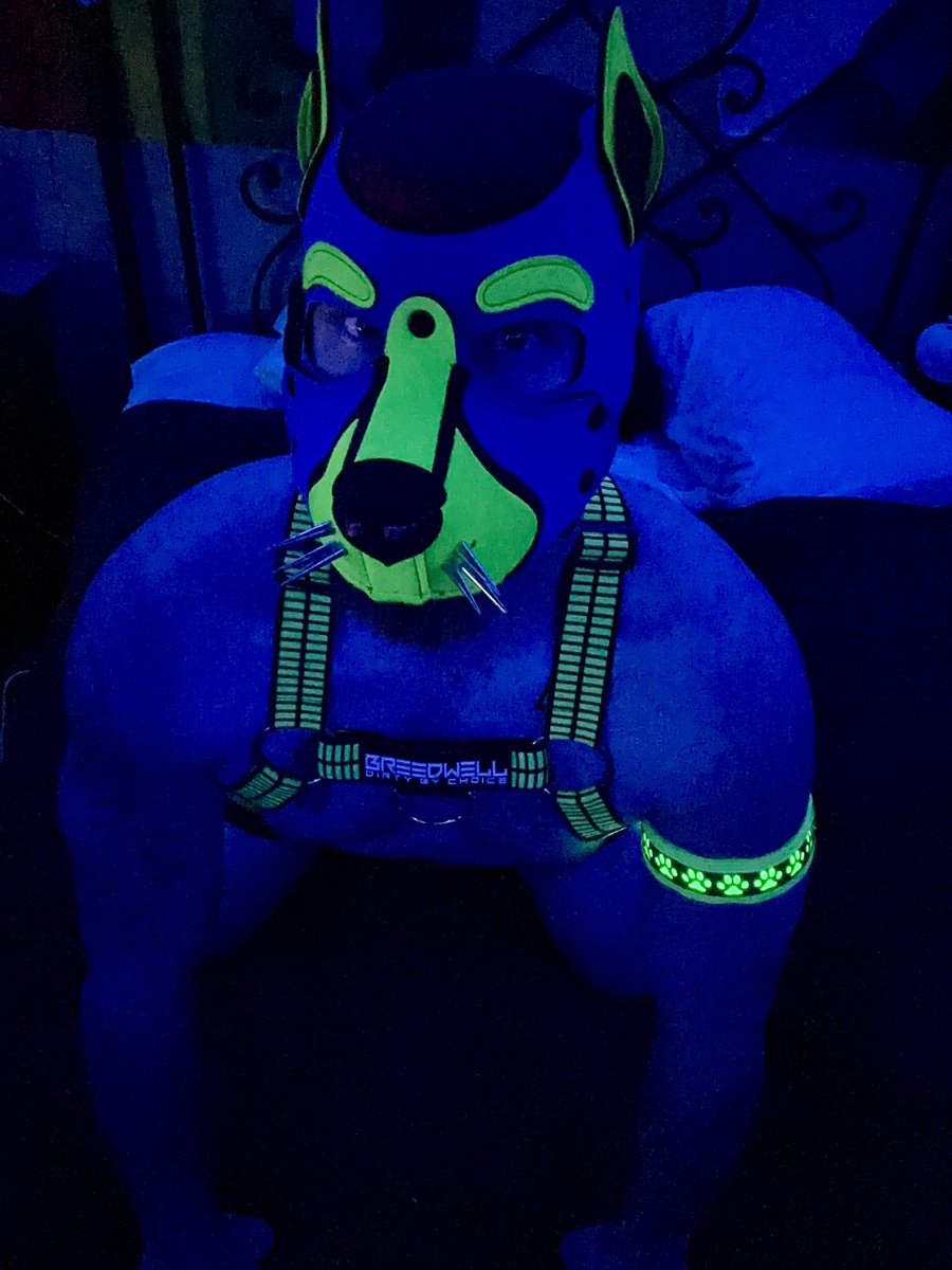 PupVash23's tweet photo. Love my new glowing arm band!!! https://t.co/gzU9DJJz73