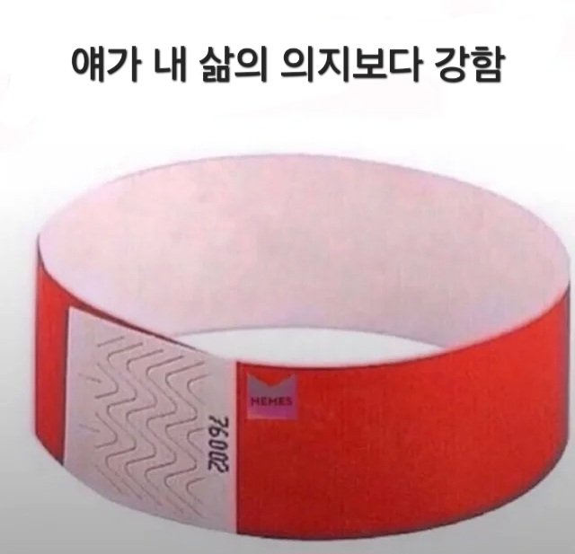 밈 번역계 (@jima_meme) on Twitter photo 