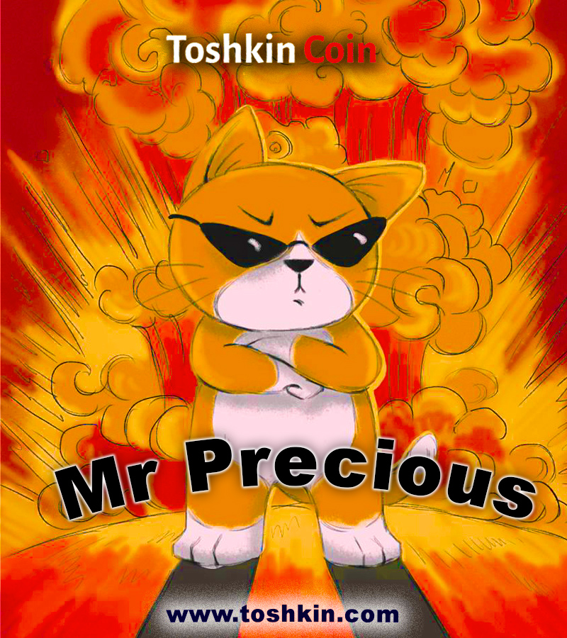 TOSHKINCOIN's tweet image. 🚀 TOSHKIN Coin team expansion - Big News! 🚀

Say hello to our new Community Manager, Mr. Precious! 

With killer experience and a rep for crushing it on big projects, we’re beyond hyped to have him join the squad. Known for his positive energy and next-level skills, Precious is…