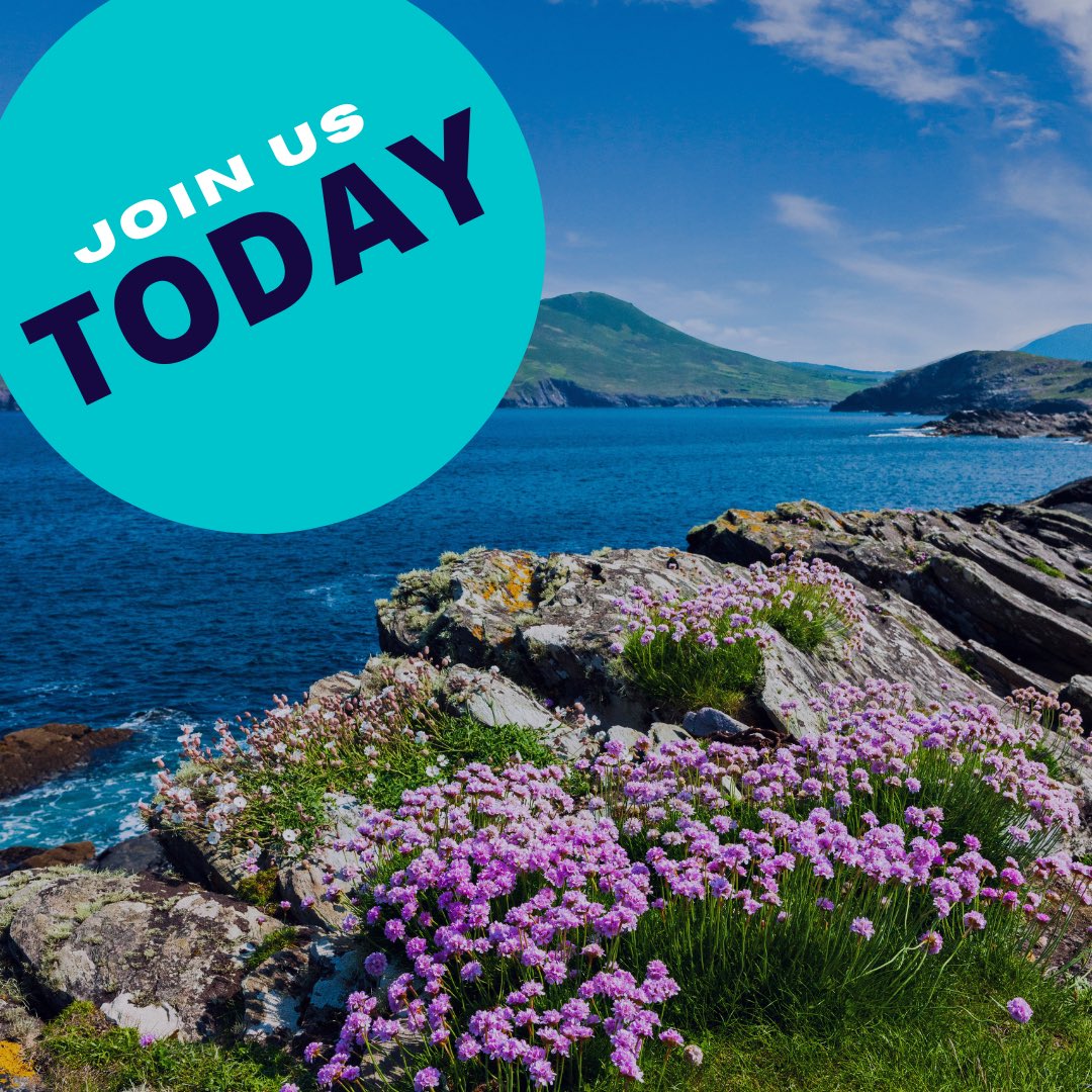 A cornerstone of our programme is an afternoon of short, pop-up, #FREE #events around the island, including a workshop with Tunde Jegede on #Kora, a specially commissioned installation by #Kerry creators and music for violin by Irish #composers.

👉 bit.ly/3WyyHiw
