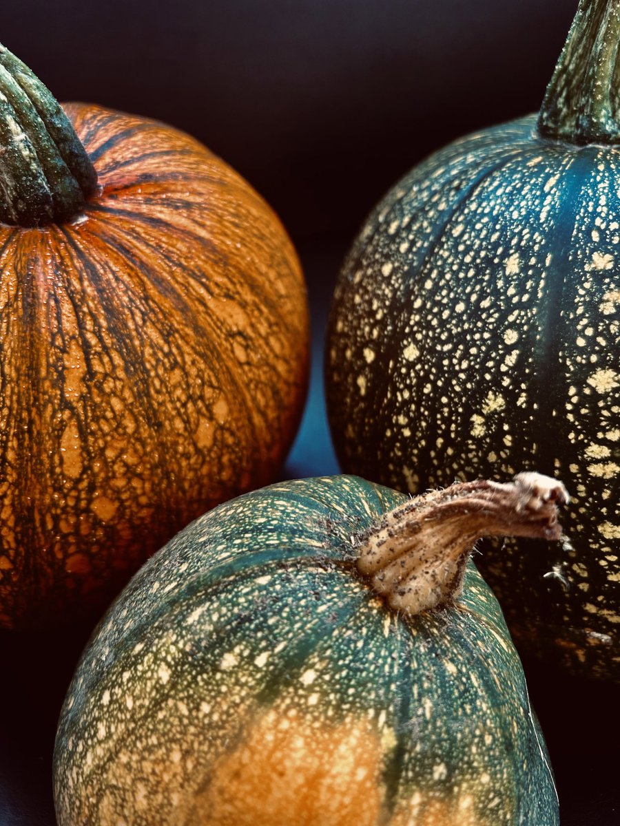 McindoeSue's tweet photo. #ColourChallenge #WeekGForGreen https://t.co/yI4M8GkcIE