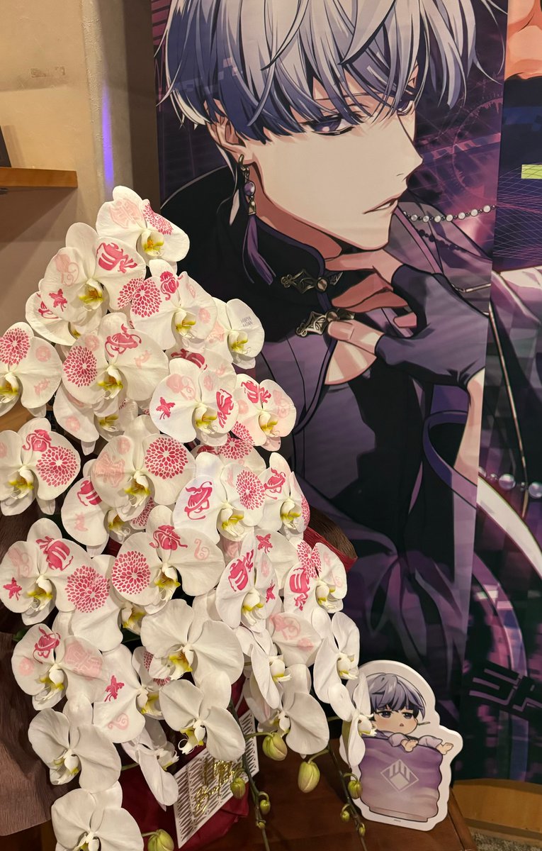 tsukagoshiya's tweet photo. 今年も綺麗な胡蝶蘭が届きました💜
お誕生日おめでとうございます！

#ヒビキ誕生祭2024 https://t.co/CMsVPmaHDT