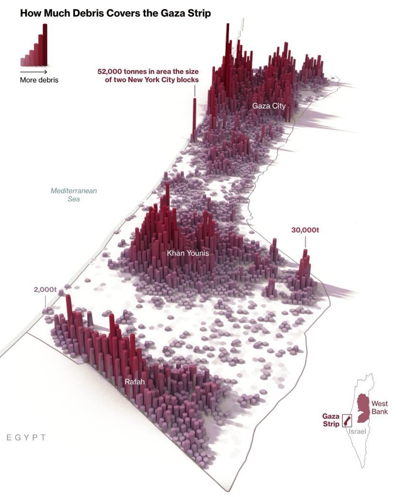 Muhammad Shehada tweet media