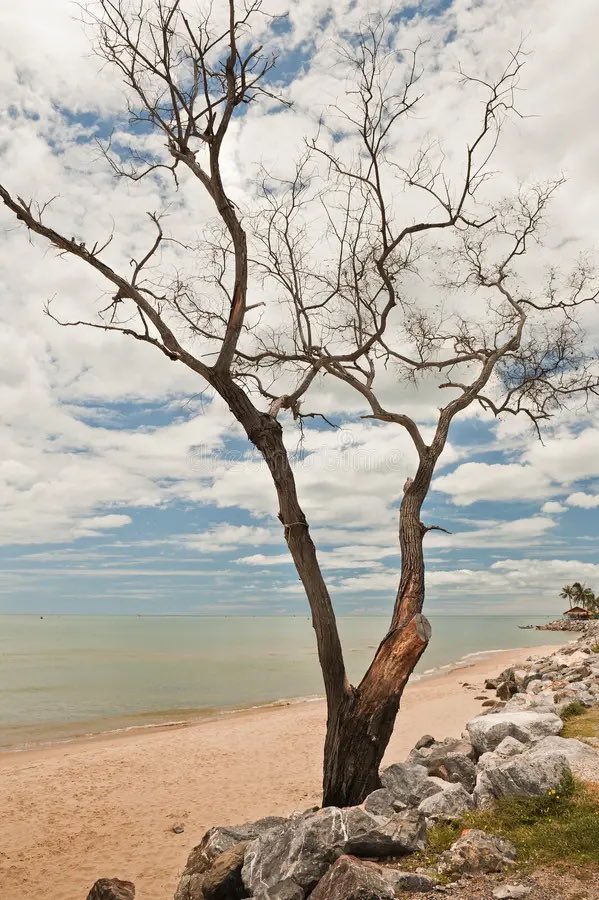 La vita senza amore è come un albero senza gemme e frutti. 
Khalil Gibran (1883-1931)