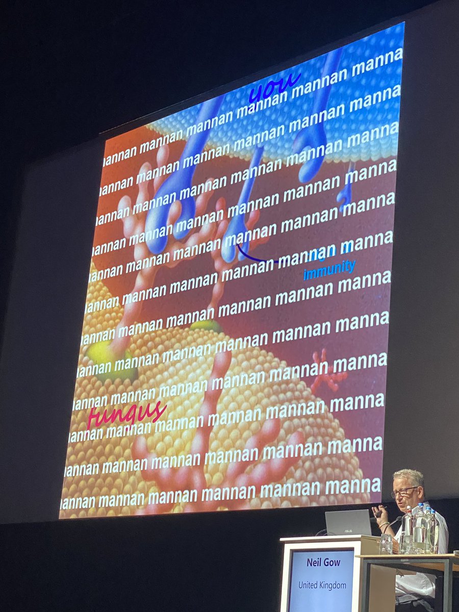 Catharina Neumann tweet media