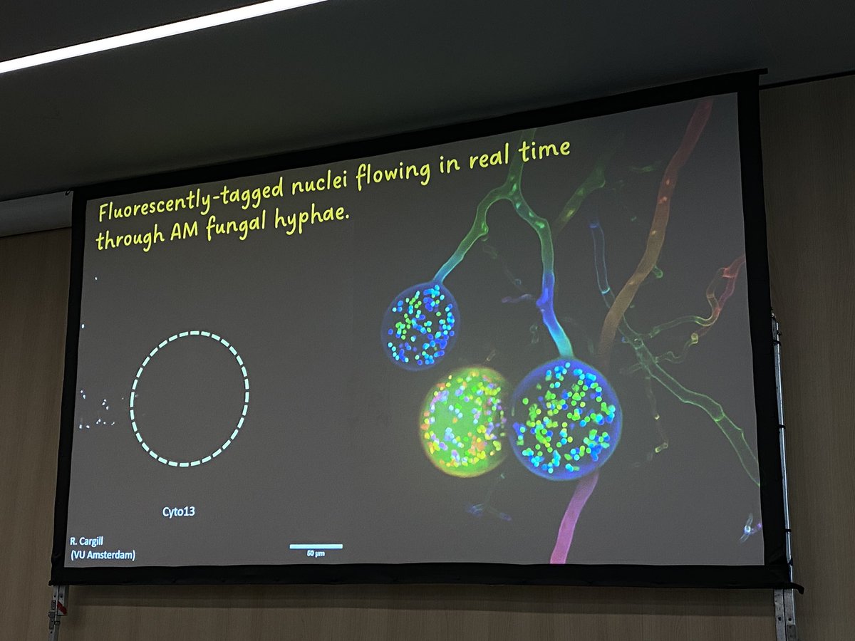 Catharina Neumann tweet media