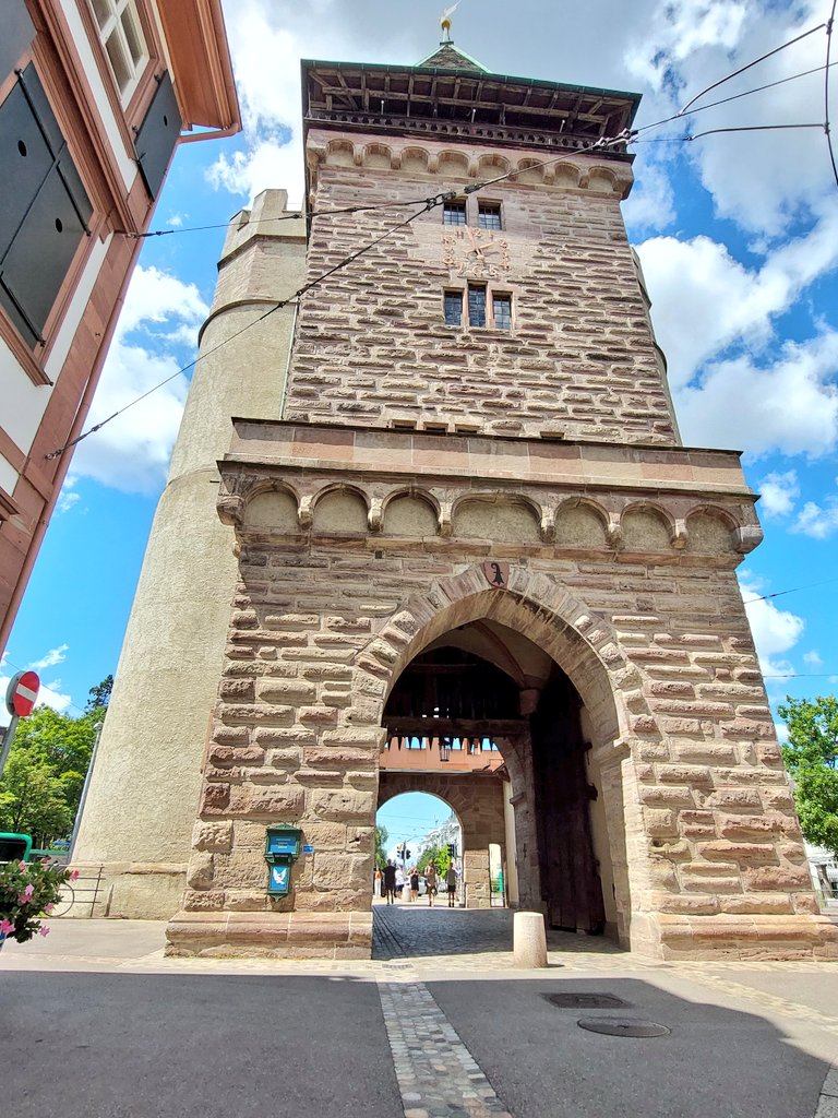 Catherine Polley tweet media