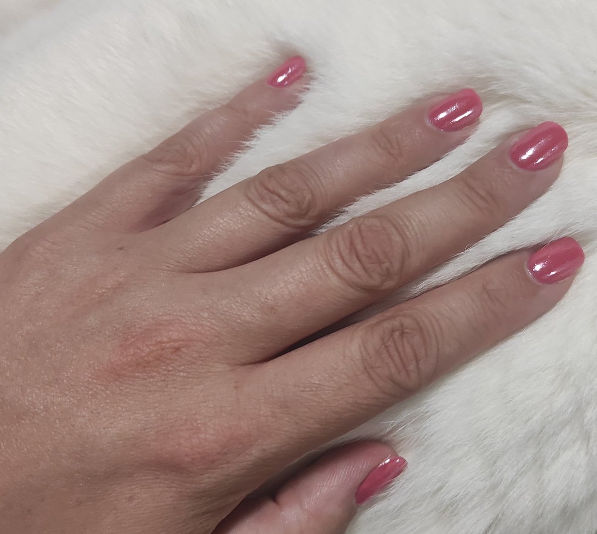 MrsSpiceySwoon's tweet image. New nailz #thirdround 💖🩷💅