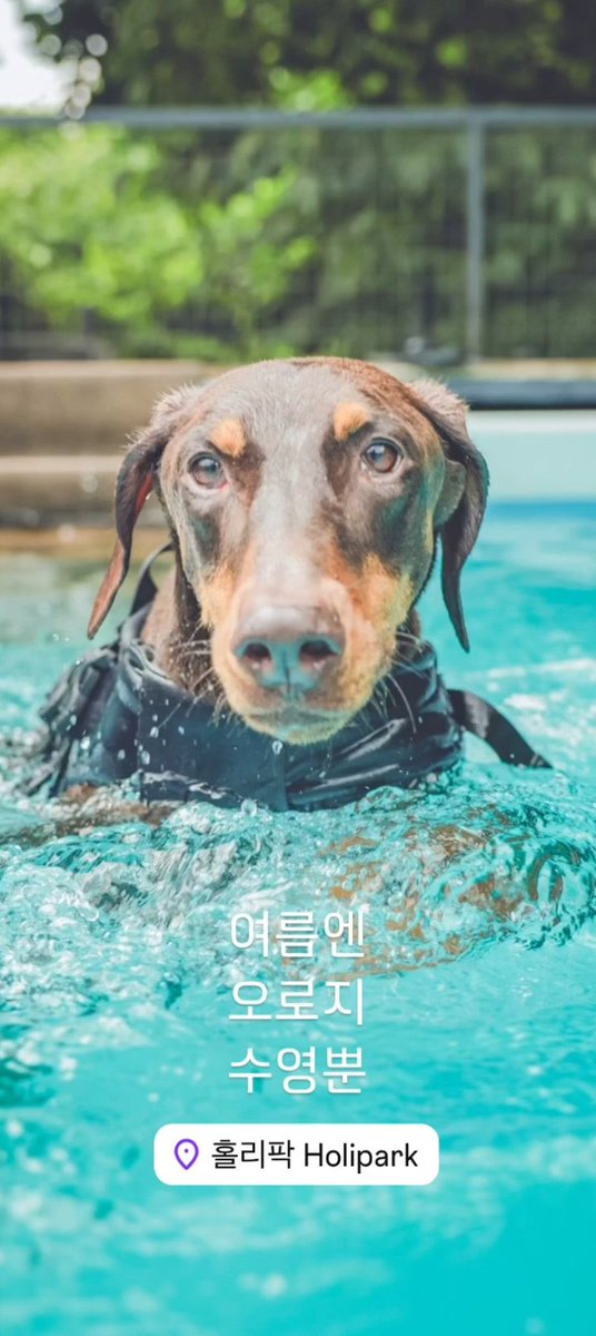 정국 tweet media