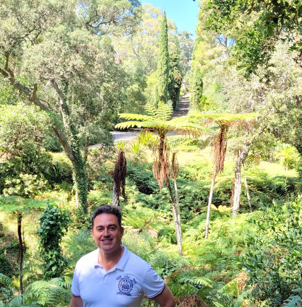 Stéphane Lang tweet media