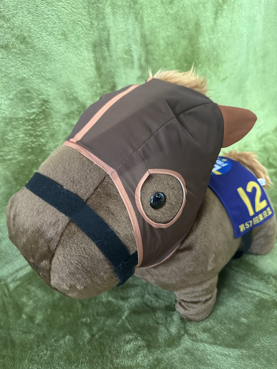 クラスターカップ #ドンフランキー 優勝おめでとう🎉🎉🎉 #推し馬