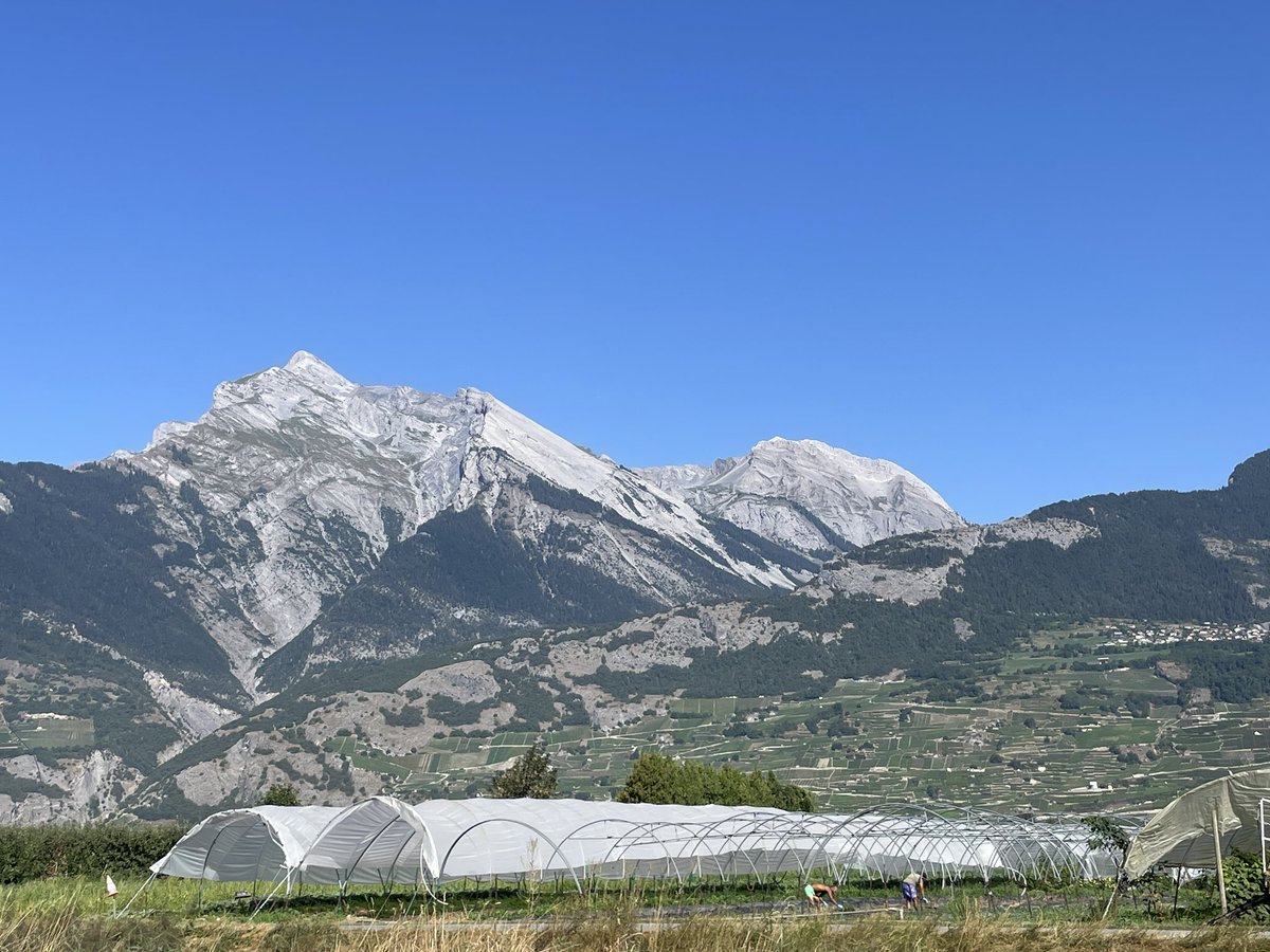 jennorrie's tweet photo. First time I’ve taken trains 🚂 to a farm tour, but do as the🇨🇭do. We ventured south from Interlaken to the Valais region to learn about (and enjoy!) cheese and wine 🧀 🍇🍷🥂😎 @IFAJ2024 @IFAJ #ifaj2024 #ifaj https://t.co/iTtanvWi9T