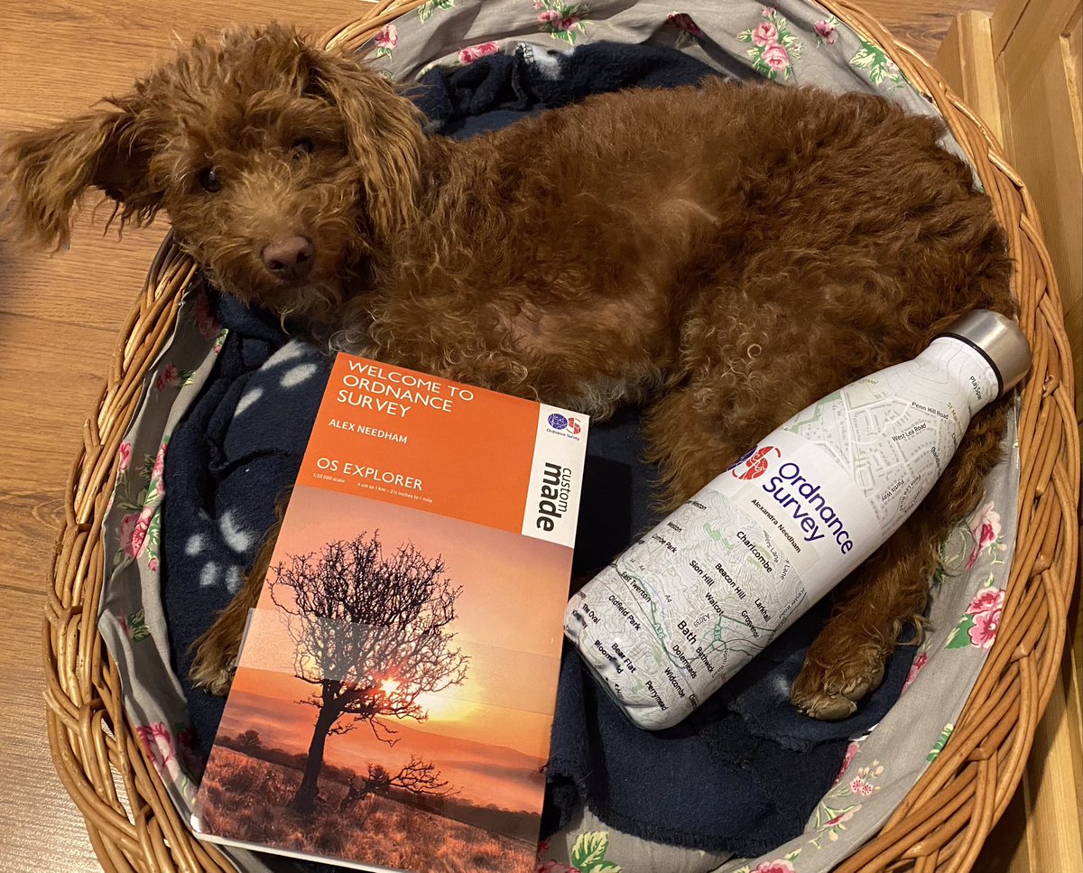 ExploraNeedham's tweet image. Four years ago today I started at OS. 

They are so lucky to have me 😉