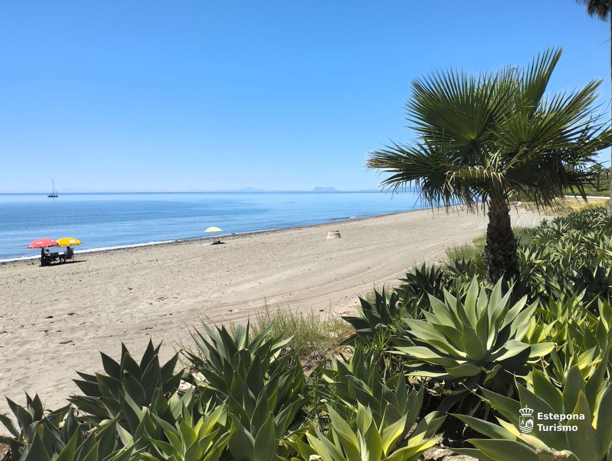 EsteponaTurAyto's tweet photo. ¿Necesitas un poco de playaterapia?...¡#estepona te está esperando! 🌊
Do you need some beach therapy?...#estepona is waiting for you! ⛱
📷 Playa de El Velerín
#ViveEstepona #verano #modoplaya #solyplaya #LiveEstepona #summer2024 #BeachModeOn #sunandsea #mediterranean https://t.co/YA3OeUcgIB