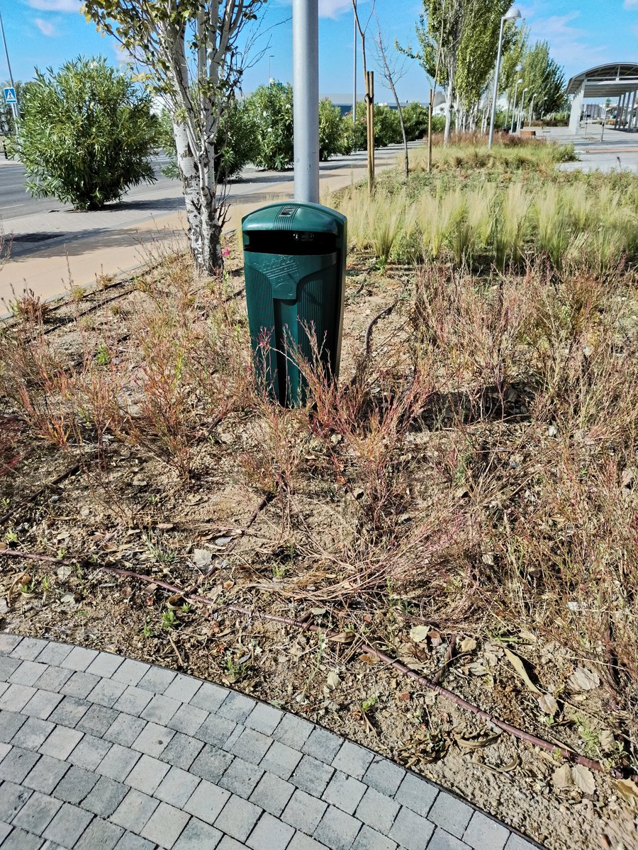 ¿Quién fue el "ingeniero" que lo instaló y quien lo aprobó, en mitad del jardín?. ¡Revisar, por favor!