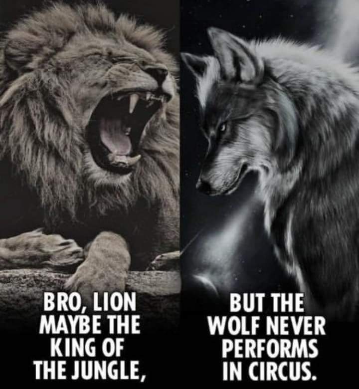 SlavicWarrior®️ tweet media