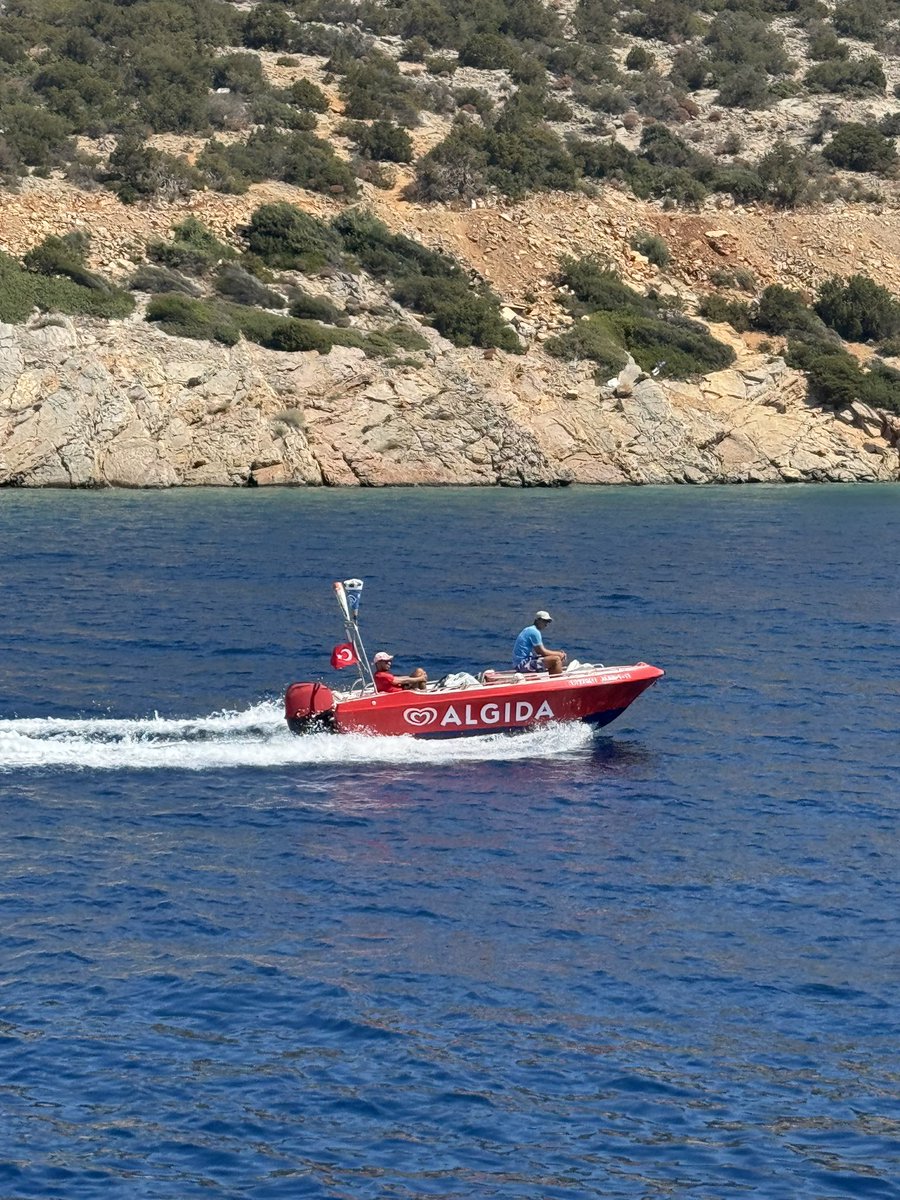 algida seçicilik vol2