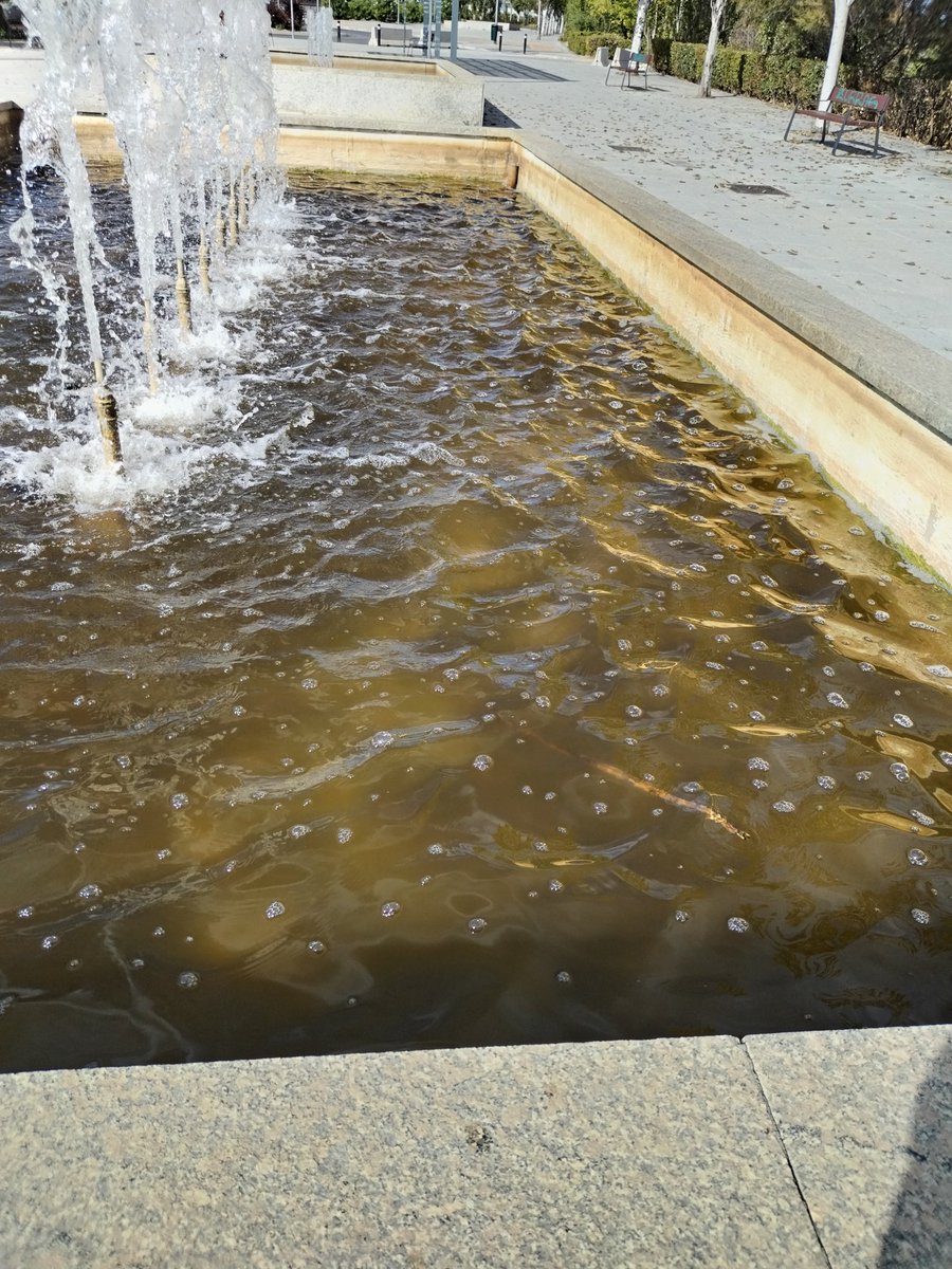 Hay una forma mejor de hacer las cosas y no **"malgastar" el dinero de todos 😡