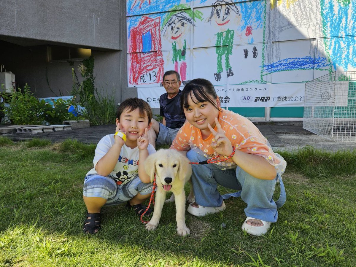LeptilesRicky's tweet photo. #ゴールデンレトリバー くん、里親さん決まりました！👀✨️

悩みに悩んだ末、明るいお姉ちゃんがお迎えする！と決断してくれました🥹

元気いっぱいな家族が増えて、お家がより明るくなること間違いなしです🌈

立派に大きくなってね🌱

🐼みゆ🐼 https://t.co/6waHLnLxiT
