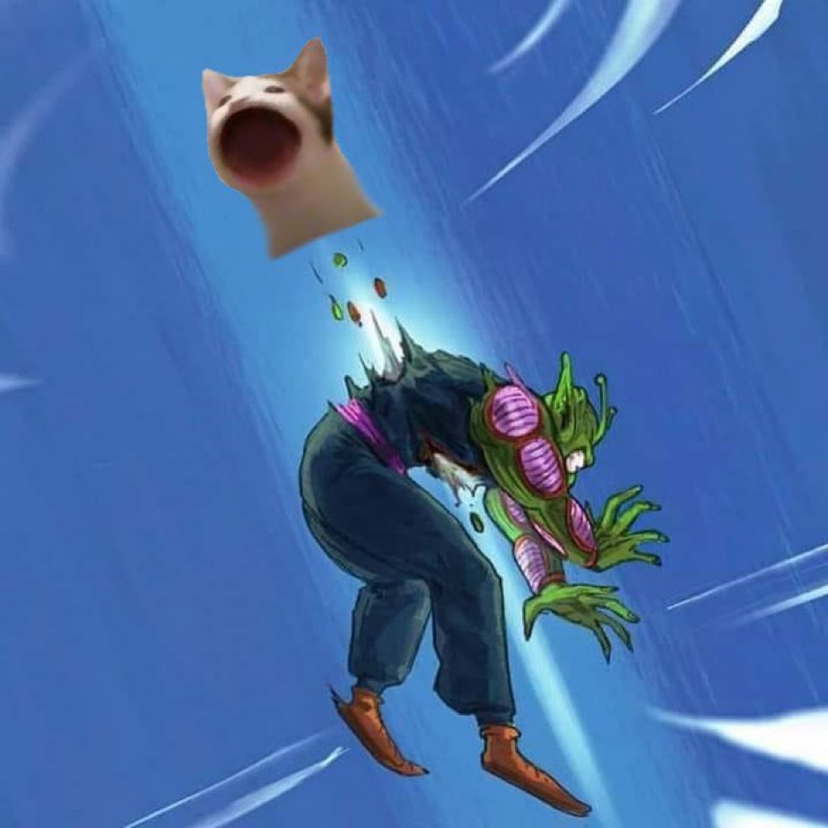 POPCAT_ETHEREUM tweet media