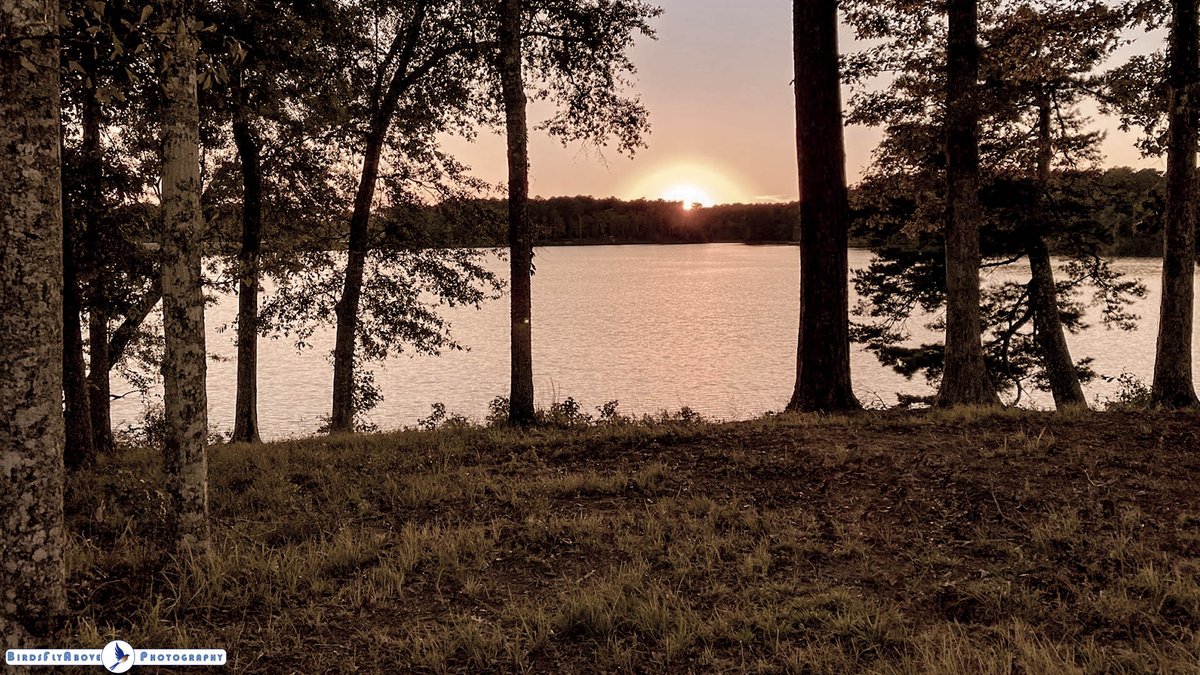 BirdsFlyAbove's tweet photo. Time to catch some Z's 🌙 Keep snapping those pics! #SleepySnaps #ShutterbugLife 😉 #Nature #Landscape #Landscapephotography https://t.co/03O7Fc0zQx