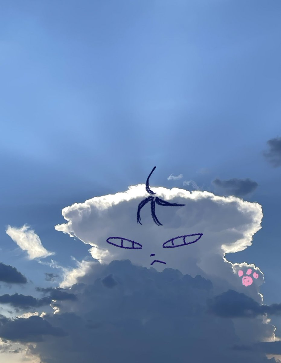 고양이 구름 발견!!