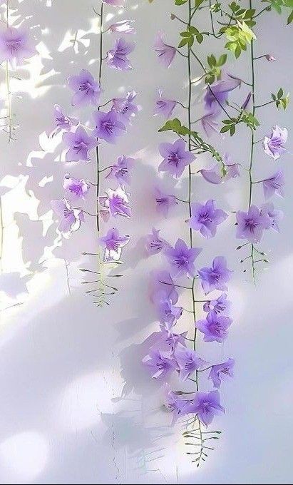MonicaDrie's tweet photo. A New Day 🌿🌼💜 https://t.co/VBG9AmOeBO