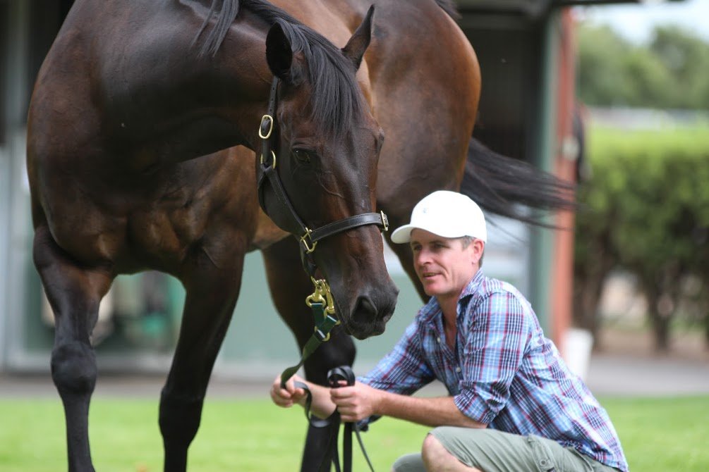 RacingPedigrees's tweet photo. https://t.co/ddjMmk9ZUM